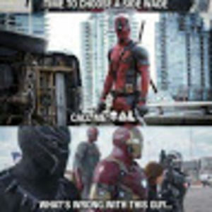 Meet your Posher, Raphael